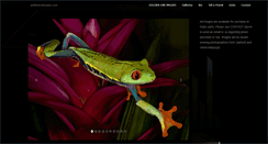 Desktop Screenshot of goldenoneimages.com