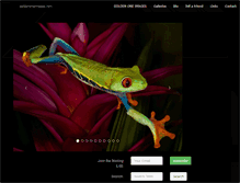Tablet Screenshot of goldenoneimages.com